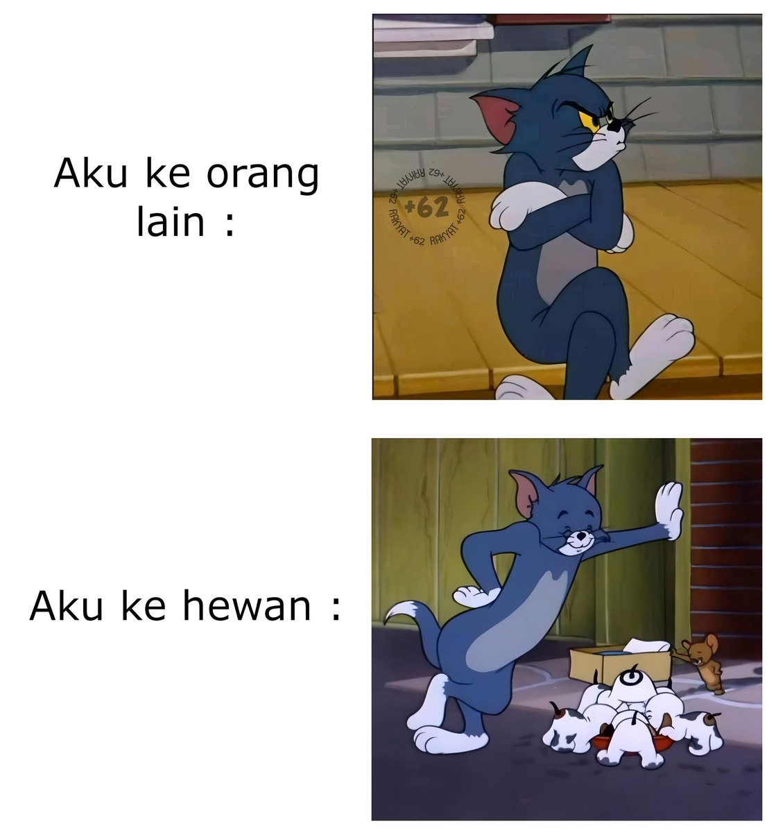 sosmed keras (@sosmedkeras) on Twitter photo 