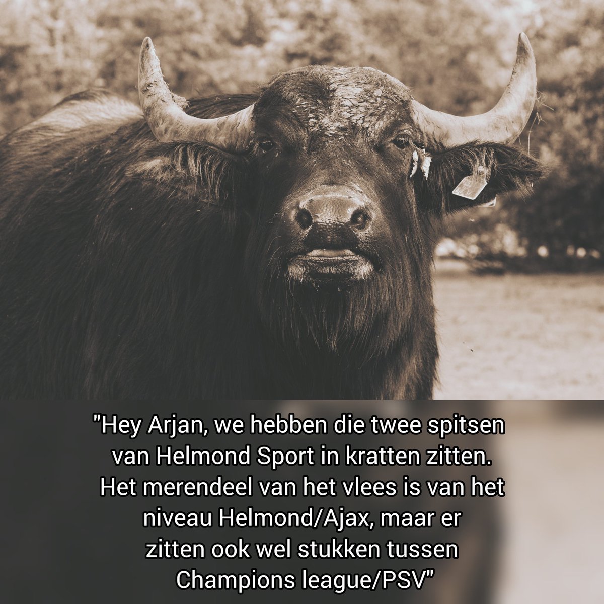 Kraakheldere communicatie tussen slager en boer! 😁🍔🥩🐃

#helmondsport