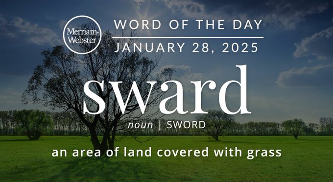 Merriam-Webster Word of the Day January 28, 2025 'sward' noun | SWORD "an area of land covered with grass" Background Image: an area of land covered with grass" Background Image: a park