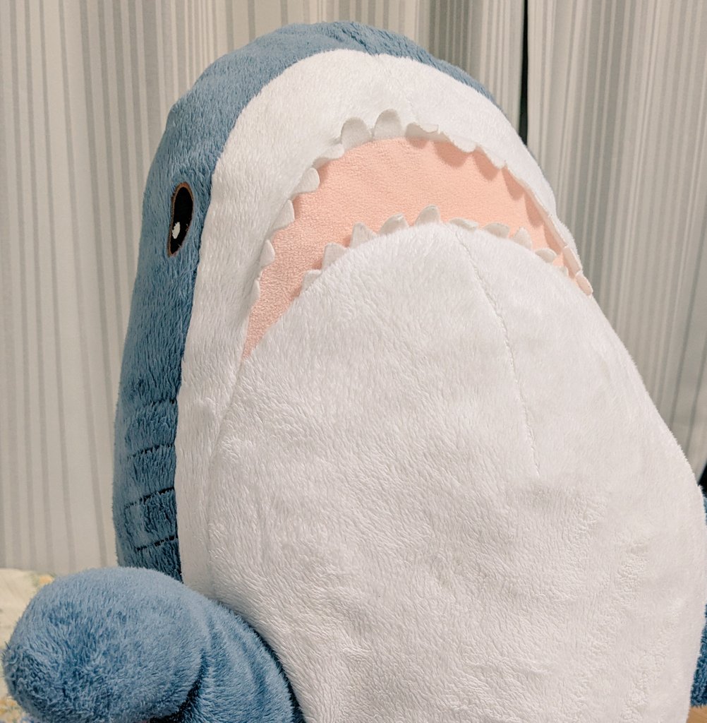 shark_kawaii8's tweet photo. もちもち元通り！ https://t.co/JDFQCqmPr4