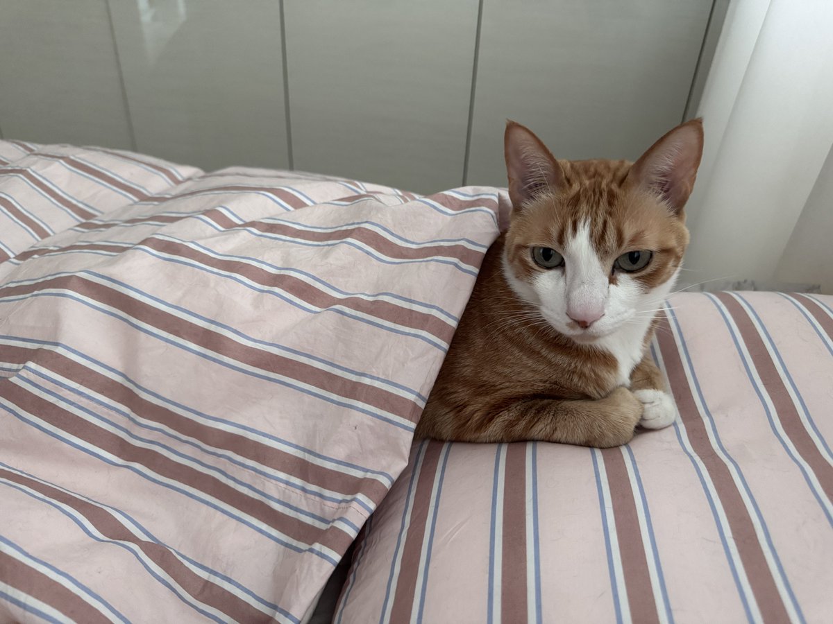 오늘 아침에 눈 뜨자마자 본 것=