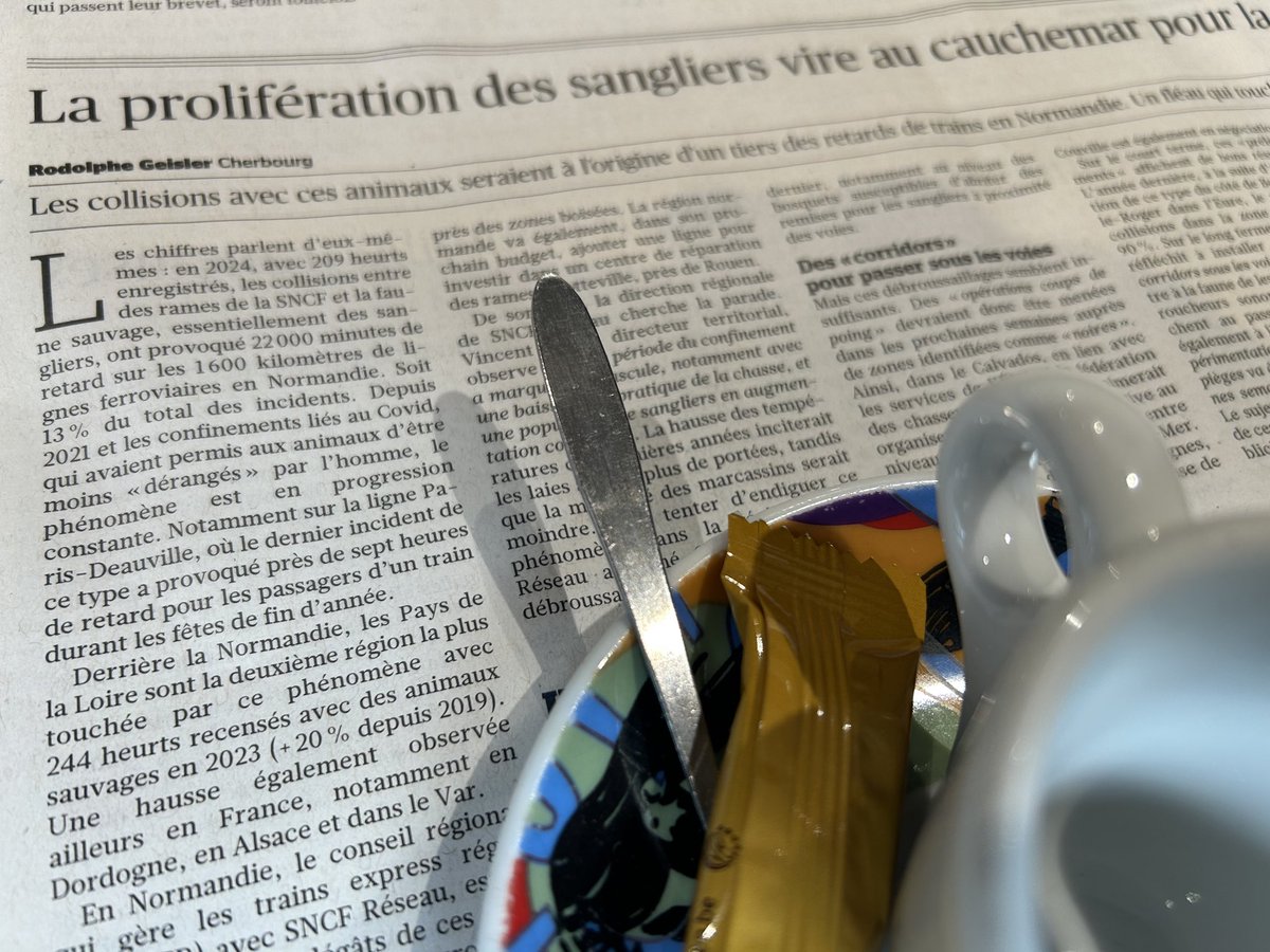 Rodolphe Geisler tweet media