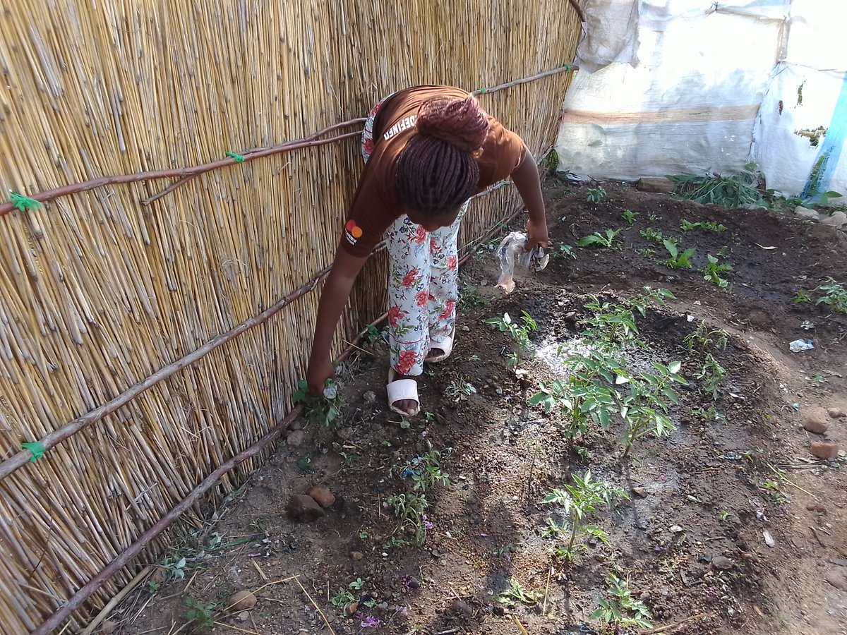 CorpsAfrica/Malawi tweet media