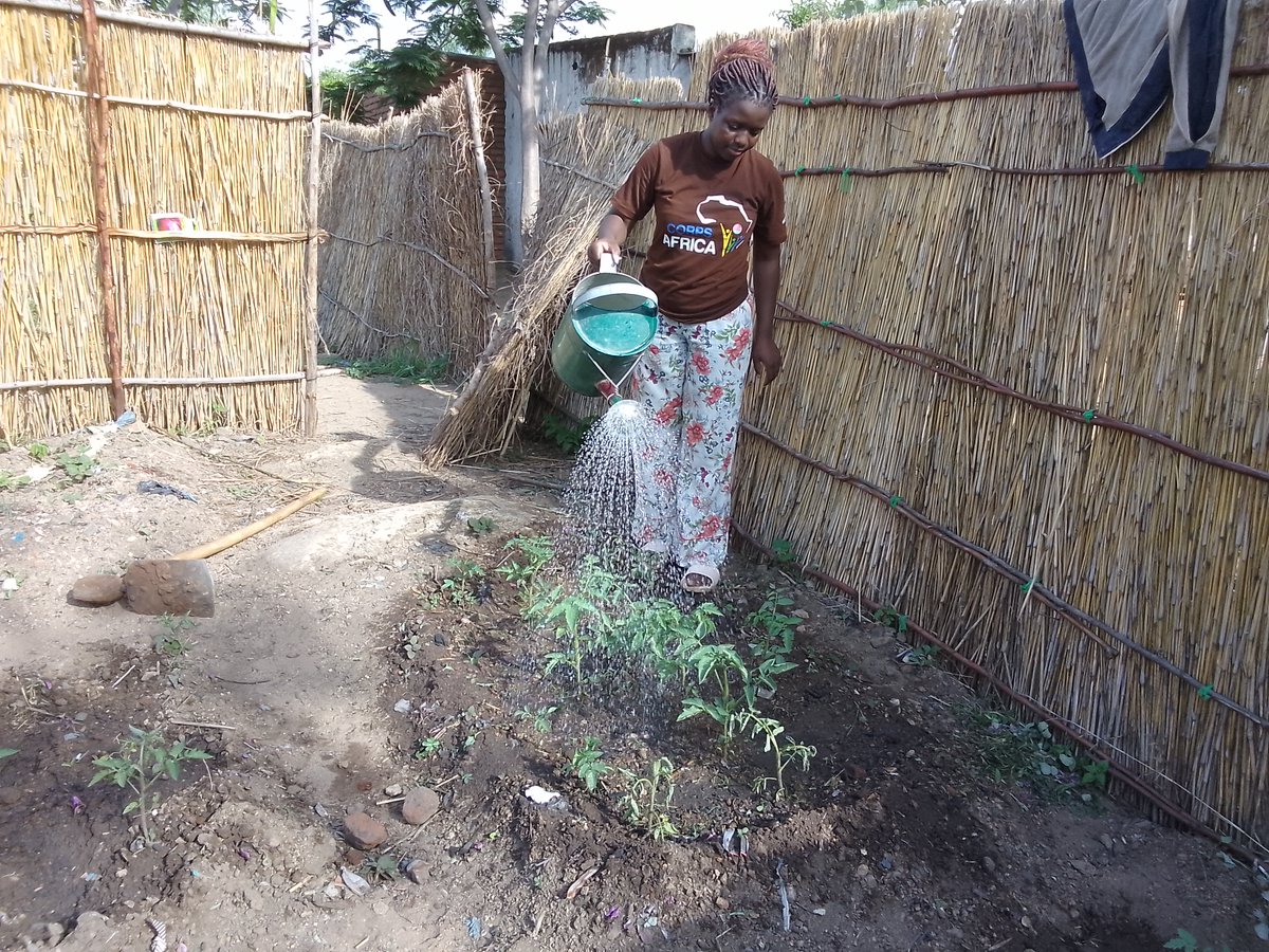 CorpsAfrica/Malawi tweet media