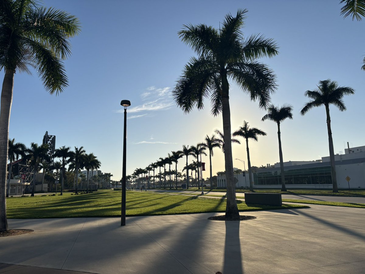 Great Day to be an Owl! 🦉🏝️