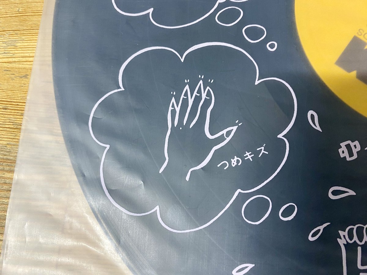 貸レコード界の巨人「友&愛」が作った傑作内袋。この30cm四方程度の