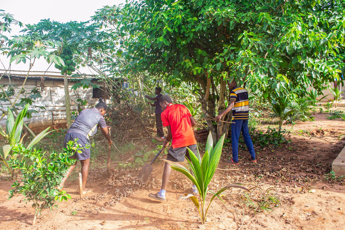 gliforumng's tweet photo. Introducing Global Green Guards #GGG #GreenGuards 🎉

A volunteering team on @sFarmLab, Awowo, Ogun state with the privilege of the Wizard Farmer @Samsonprolific.

We are the protectors 💪 of the natural vegetation &amp; actors for ecosystem restoration for the Farm &amp; Community. https://t.co/vyo2HgEmD5