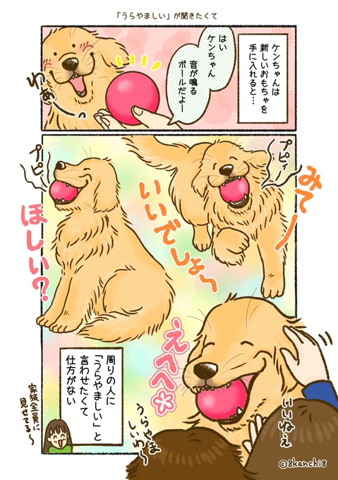 お気に入りのおもちゃとか、
みんなに見せたがるよね〜🎾 