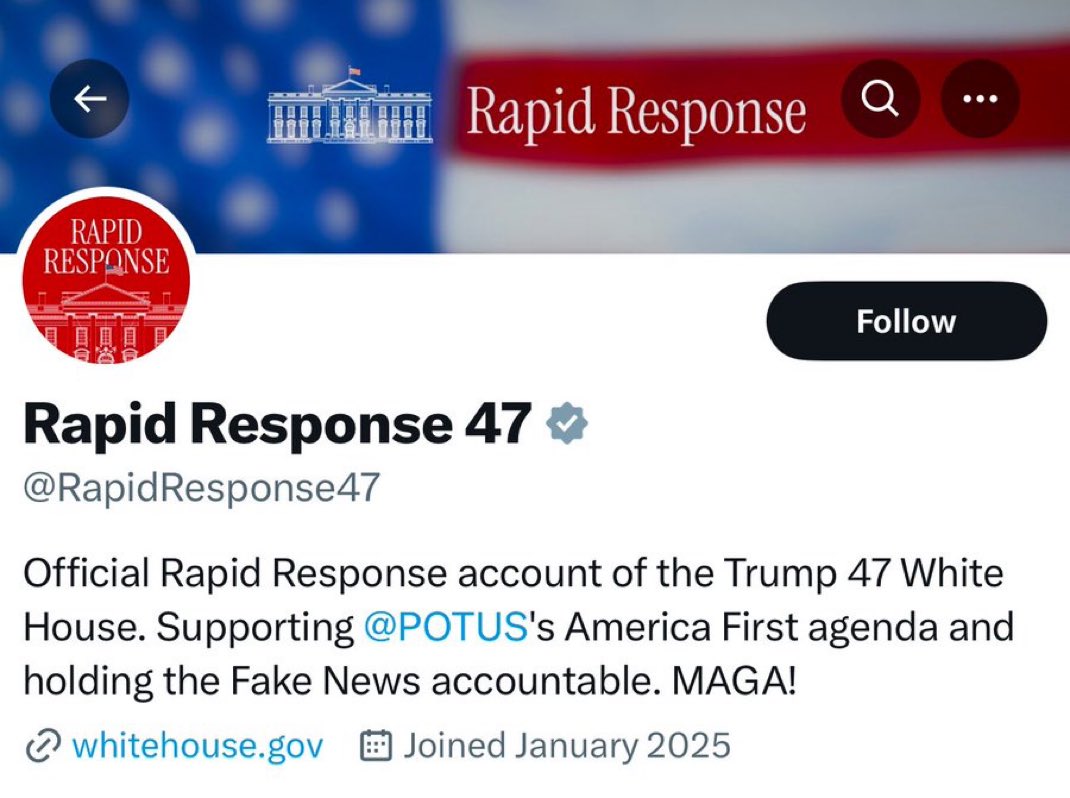 Laura Loomer tweet media