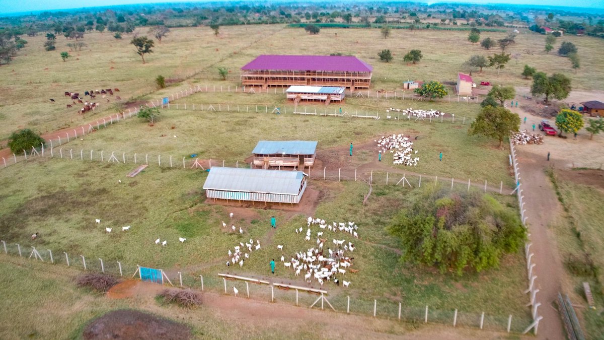 Yoweri K Museveni tweet media