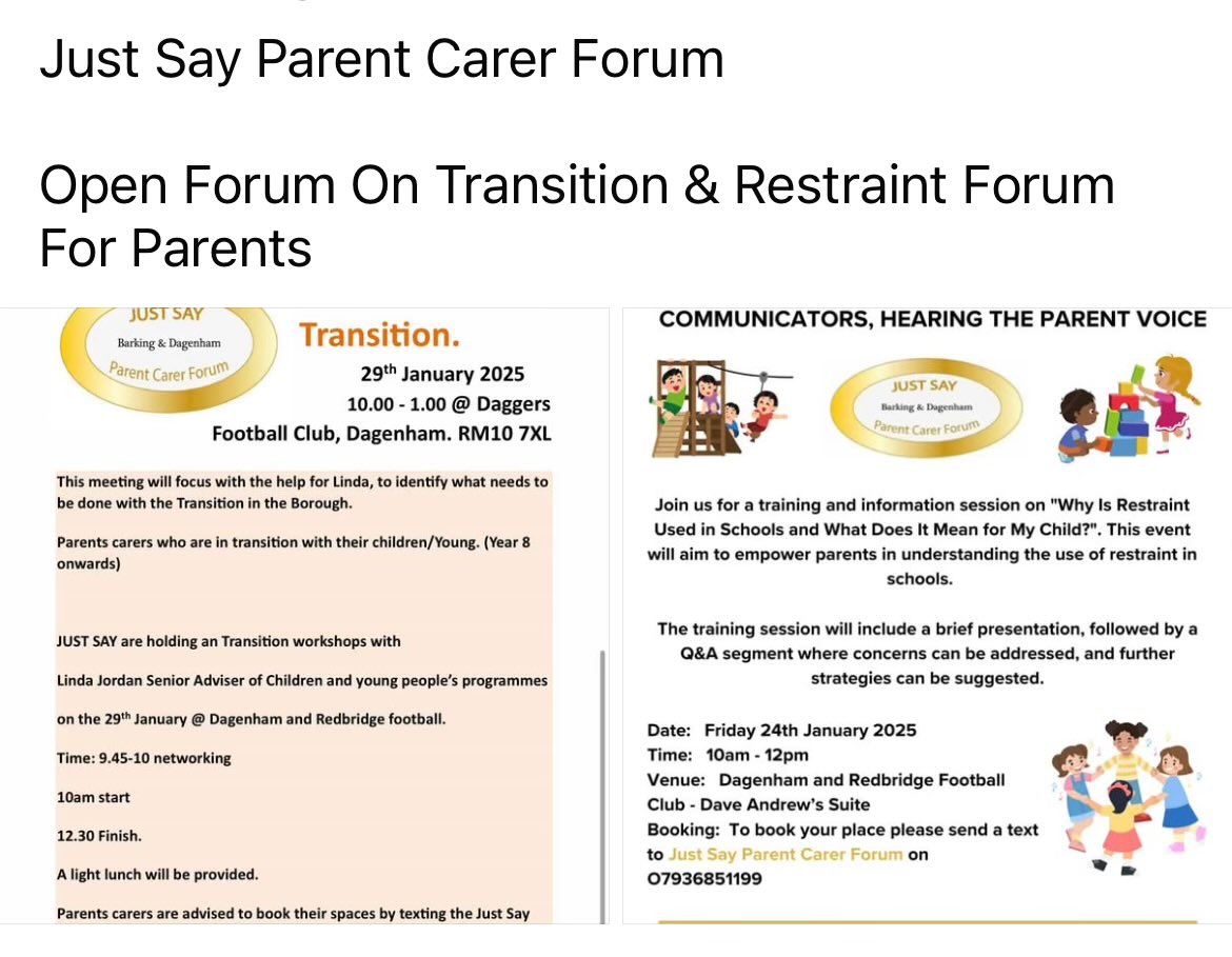 Just Say Parent Carer Forum groups