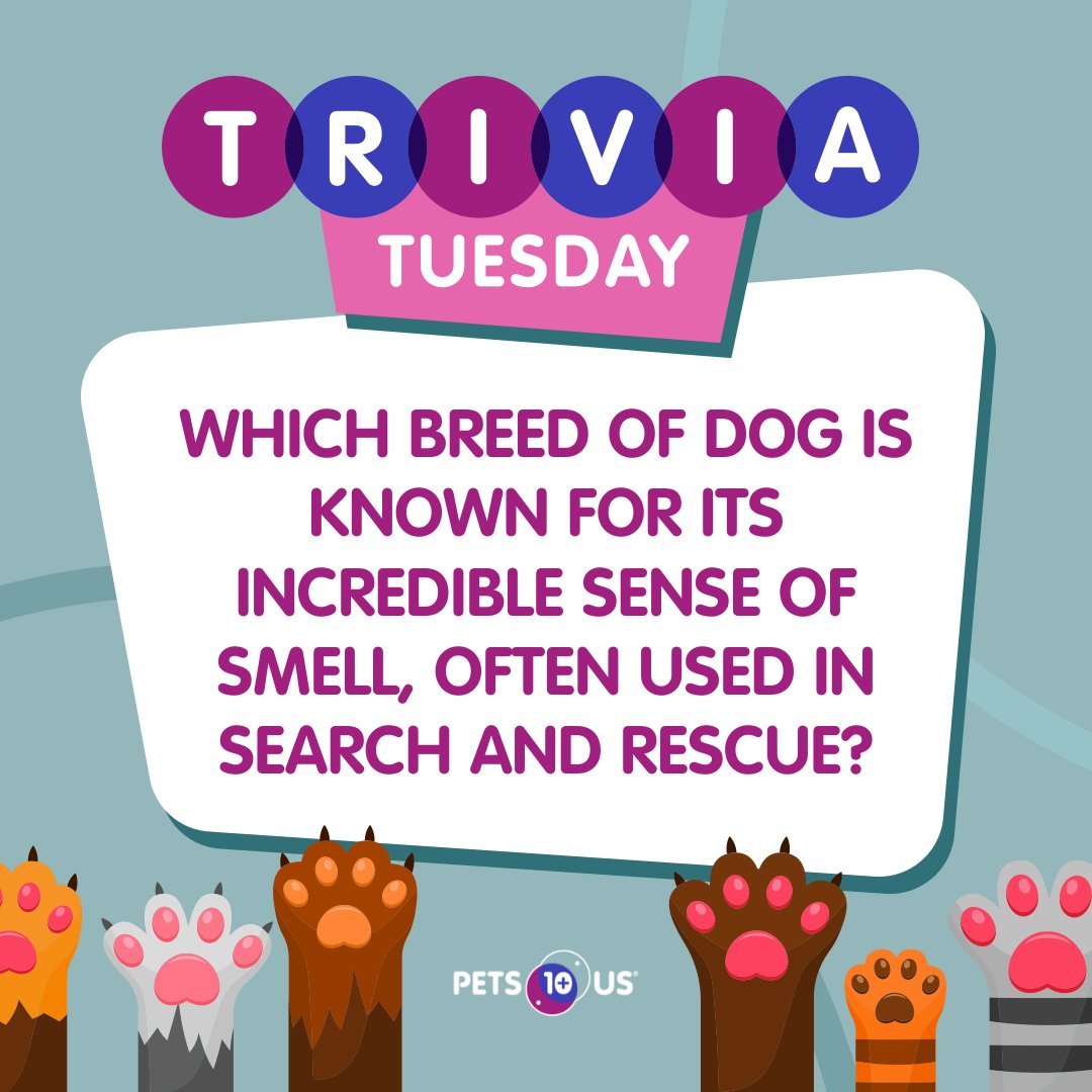 PetsPlusUsIns's tweet photo. #Win a $25 PetSmart gift card! To enter, answer the question, retweet this post and follow @PetsPlusUsIns by 11:59PM EST. Open to Canadian &amp; US residents (excluding QC). Ways to enter: https://t.co/NcR0q5FeWw https://t.co/JEOKVljisS