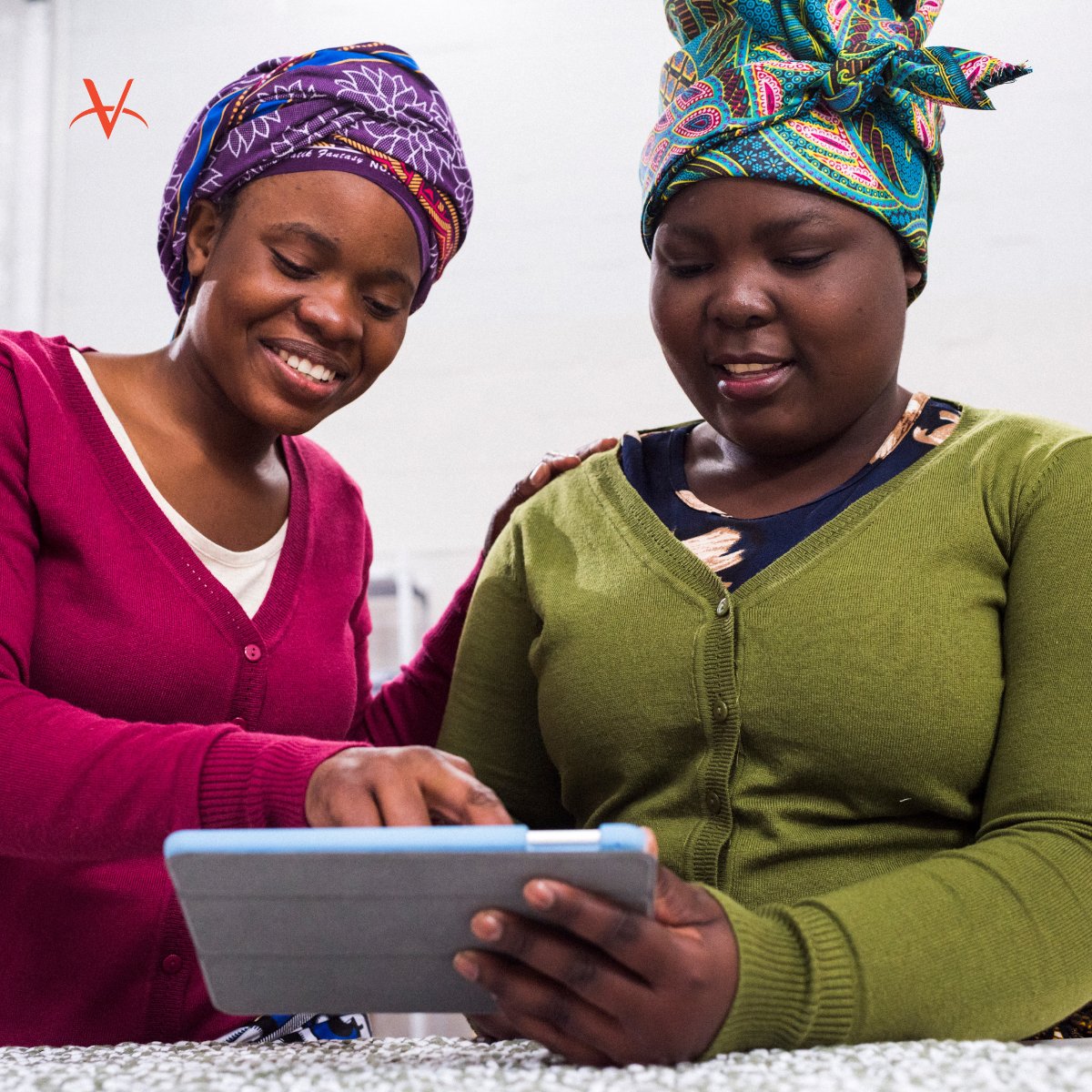 Veterinarians Without Borders tweet media