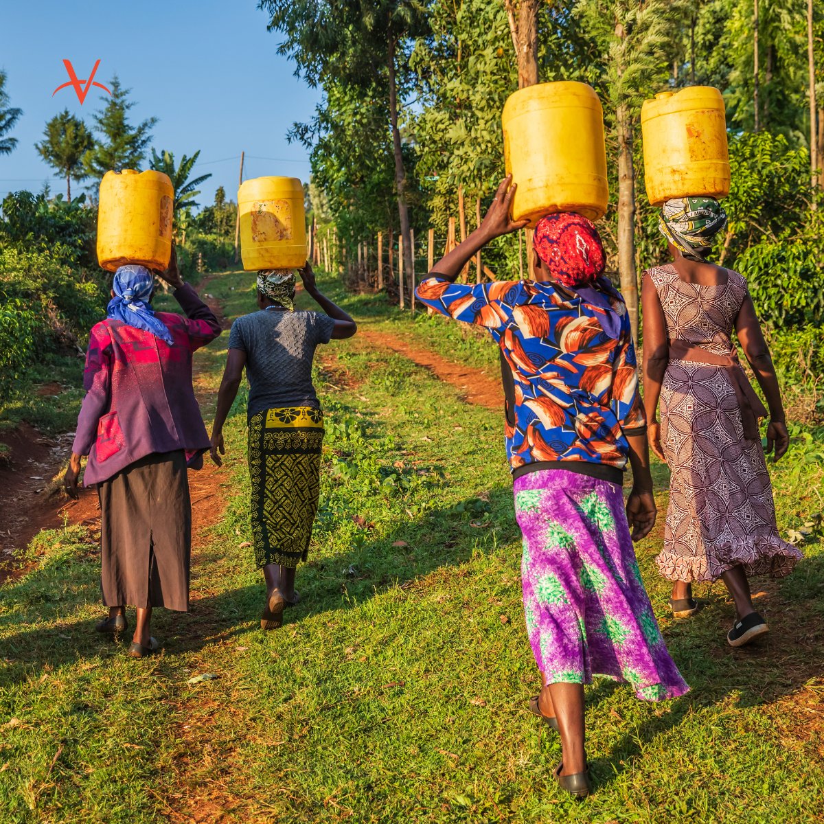 Veterinarians Without Borders tweet media