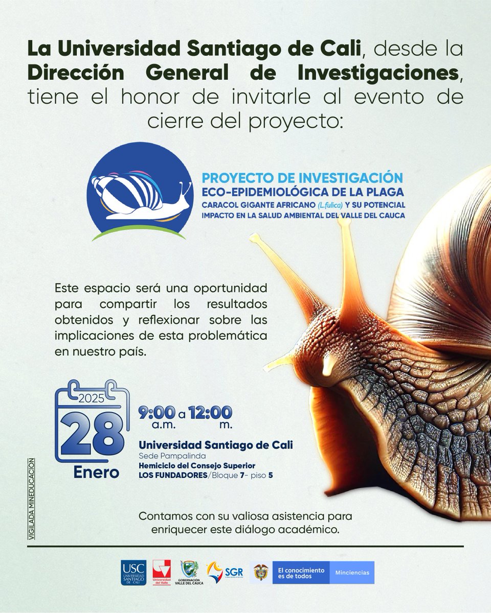 otriusc's tweet photo. 🧑‍🔬📷 Cierre del Proyecto Eco-epidemiológico sobre el impacto del Caracol Gigante Africano (L. Fulica) en la salud ambiental del Valle del Cauca. Acompáñanos a conocer los resultados y soluciones ante esta plaga que afecta nuestro ecosistema.

📷#InvestigaciónUSC #SaludAmbiental https://t.co/8IU26ed5wr