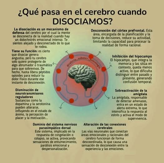 RebolledaGil's tweet photo. Que pasa en el cerebro cuando disociamos???👇👇👇👇👇 https://t.co/OYNtzBuAdq
