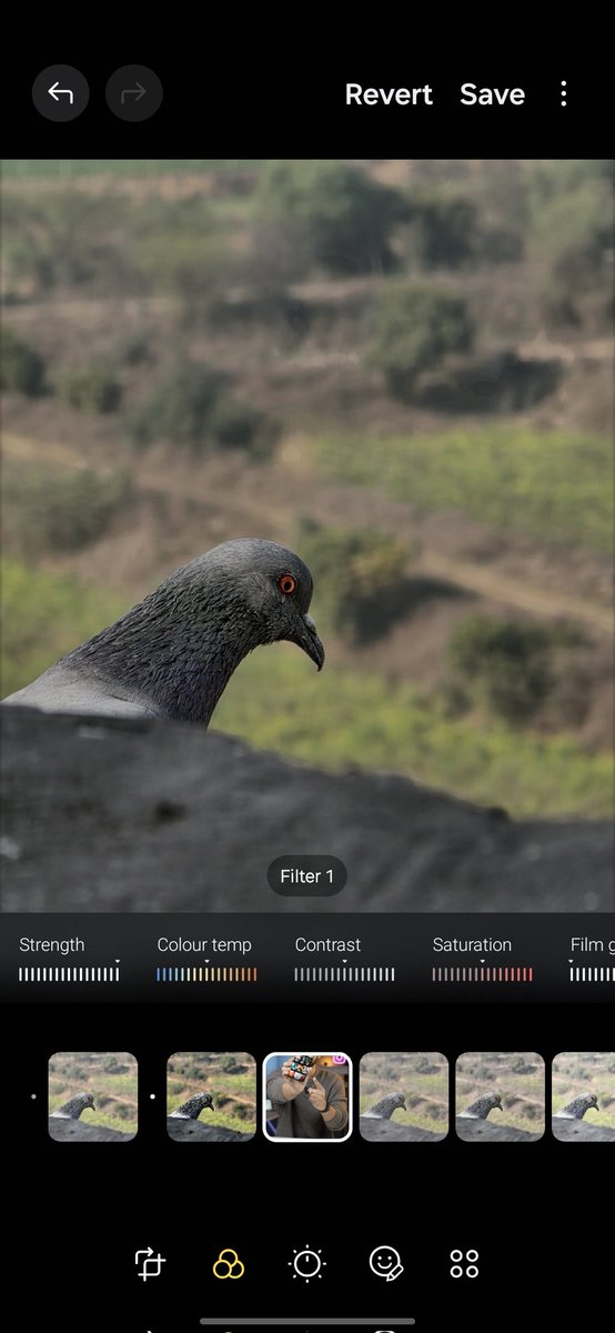 stufflistings's tweet image. One can select a picture to use as a reference filter as well.
Good stuff.