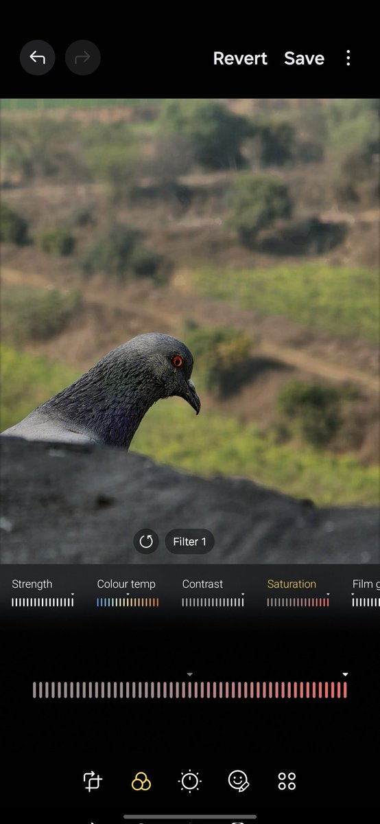 stufflistings's tweet image. One can select a picture to use as a reference filter as well.
Good stuff.
