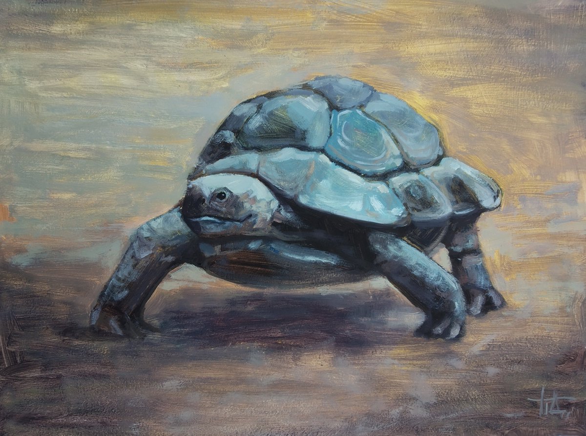 DivenArt's tweet photo. Check out Original Oil #Painting Big #Turtle #Impressionism Hand Painted 12x16 inches https://t.co/BqUFOGcMRj #eBay через @eBay https://t.co/VRd7XqXrHn
