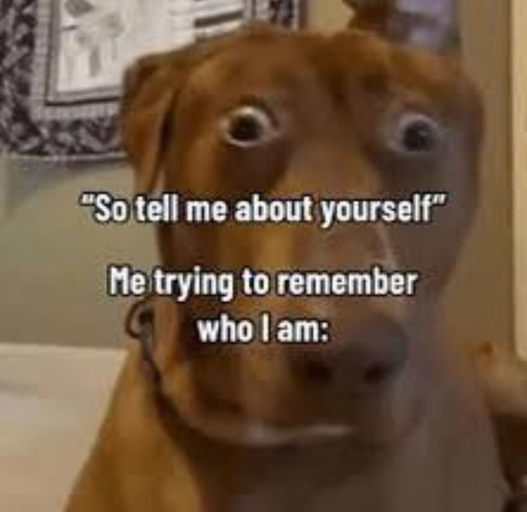 Wild TikToks tweet media