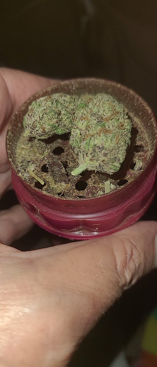 DarinJ222's tweet image. I'm telling you straight up , I'm a hard-core #Stoner , can blast a 7 gram #Blunt loaded with a couple grams of #Crumble or whatever, @loudsmokesupply 
Hooked me up with this to try out 
And it's seriously potent , a bowl or a joint maximum stoned me out yesterday for hours !
💯