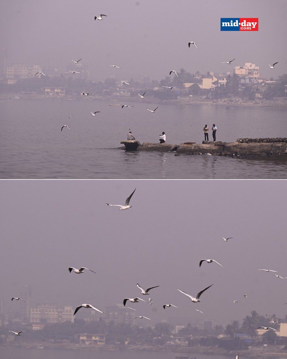 Worli, Prabhadevi, Mahim, and Bandra were engulfed in a thick blanket of smog this morning, causing reduced visibility and poor air quality.

PC: <a href="/raje_ashish/">Ashish Raje</a>

#Mumbai #Smog #MumbaiNews #Smog