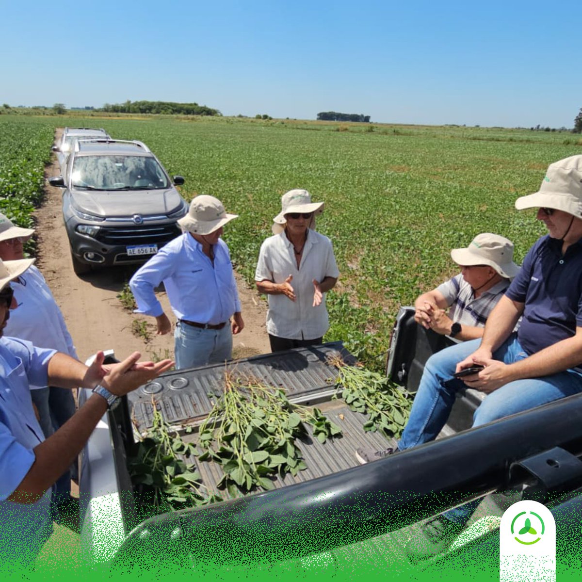 AgroconsultorSA's tweet photo. En modo bio 🚀🌱.
Junto a #Biotrop, tuvimos la oportunidad de ver avances ensayos de desarrollo de #bioestimulantes para soja.
Un proyecto que nos llena de entusiasmo, donde exploramos las posibilidades que ofrecen las tecnologías bio para potenciar la #AgriculturaConTodo! https://t.co/ZGU7ual3Rm