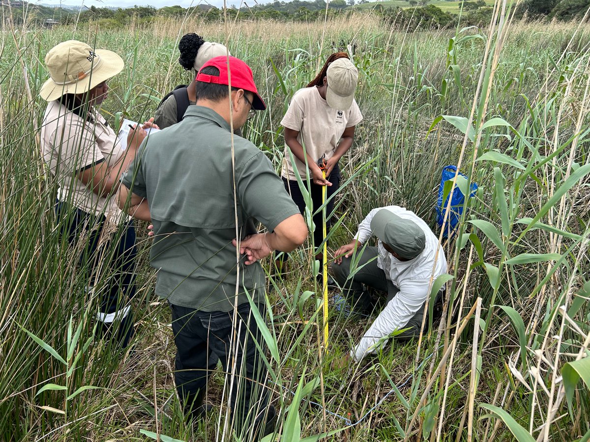 JNCC_UK's tweet photo. 🌍Dive into the details of JNCC’s recent visit to South Africa as part of the Environmental Pollution Programme (EPP)

💧♻️Learn how we're driving sustainable solutions to solid waste and wastewater management 

Read more https://t.co/GnzGNtSCec https://t.co/mwR6VVSYww
