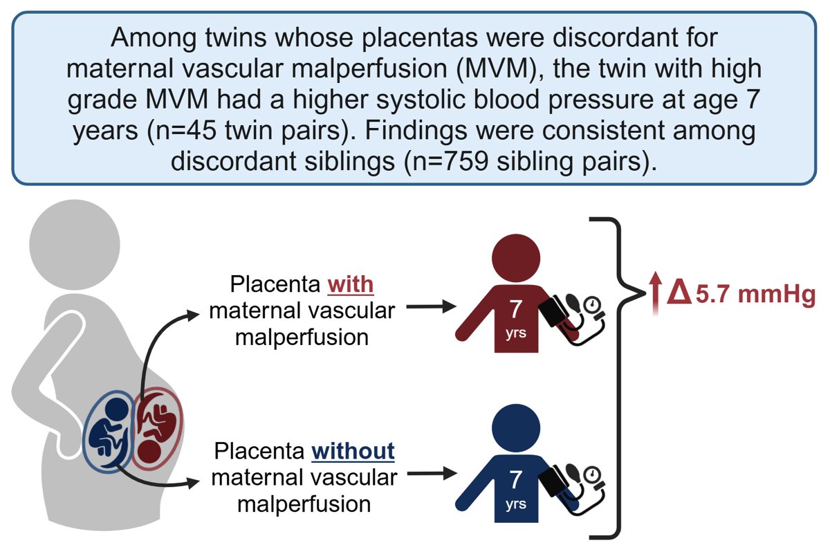 𝐉𝐨𝐬𝐞𝐩𝐡 𝐅𝐥𝐲𝐧𝐧, 𝐌𝐃 (@drjosflynn) on Twitter photo Placental Pathology and Blood Pressure at Age 7: A Longitudinal Discordant Twin Analysis
<a href="/IntPedHTN/">International Pediatric Hypertension Association</a> @aspneph #hypertension #medsky #nephsky
buff.ly/4gljMA6 Placental Pathology and Blood Pressure at Age 7: A Longitudinal Discordant Twin Analysis
<a href="/IntPedHTN/">International Pediatric Hypertension Association</a> @aspneph #hypertension #medsky #nephsky
buff.ly/4gljMA6