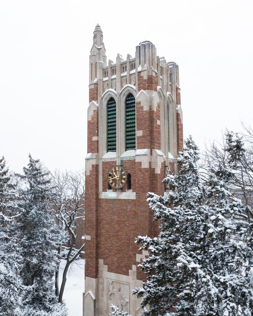Just a reminder that Michigan State is a top 30 public institution in the nation. 🤍