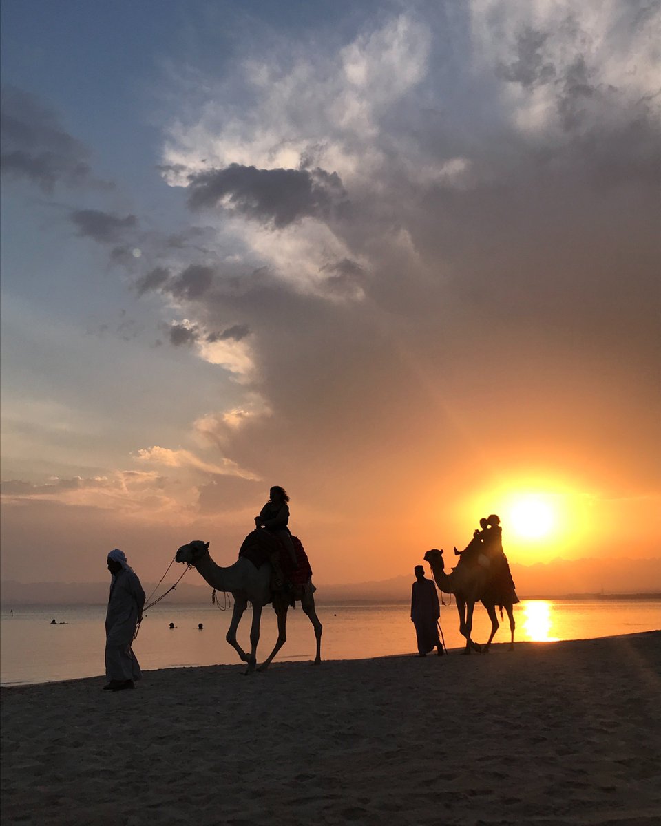 Spring is on the horizon, and the world is calling. 

Where will you go? 
bit.ly/4fX1oxF