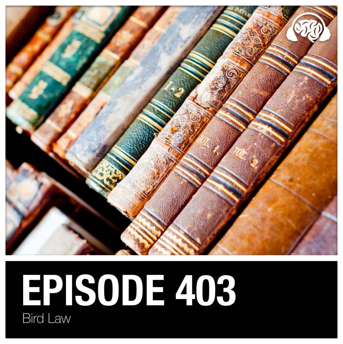 Episode 403 is live! Patron Toni Rask hosts this week’s great game! Patron Drew Buxbaum teams up with Ashley Gray to face off against Ken and Jeff. The teams take flight to find colorful questions which are certain to delight. Which team will rise to the top?
