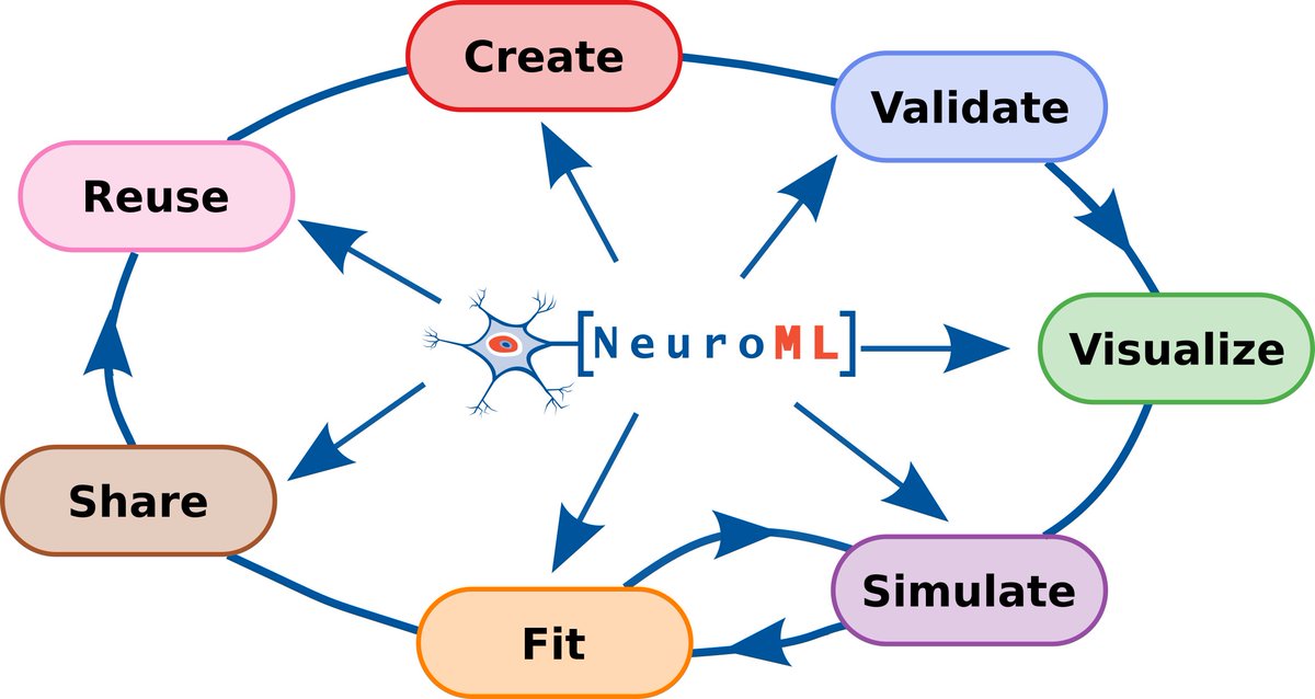 NeuroML Developers (@neuroml) on Twitter photo We are very happy to provide a consolidated update on the #NeuroML ecosystem in our <a href="/eLife/">eLife - the journal</a> paper, “The NeuroML ecosystem for standardized multi-scale modeling in neuroscience” : doi.org/10.7554/eLife.… . 1/x
#Neuroscience #ComputationalNeuroscience #Standardization We are very happy to provide a consolidated update on the #NeuroML ecosystem in our <a href="/eLife/">eLife - the journal</a> paper, “The NeuroML ecosystem for standardized multi-scale modeling in neuroscience” : doi.org/10.7554/eLife.… . 1/x
#Neuroscience #ComputationalNeuroscience #Standardization