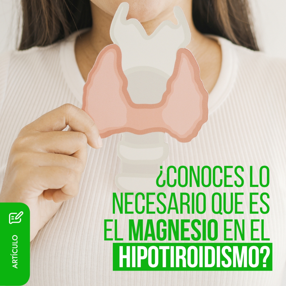 ¿Sabías que el magnesio es clave para la tiroides? Regula el sistema nervioso, el metabolismo y la producción de hormonas. Muchas personas con hipotiroidismo tienen deficiencia sin saberlo.
 Consúmelo en frutos secos, legumbres y vegetales verdes. 👉 bit.ly/4aztu0E