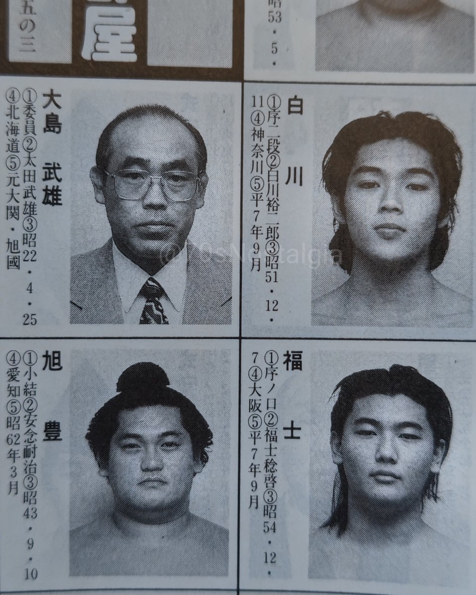 白川 裕二郎 相撲