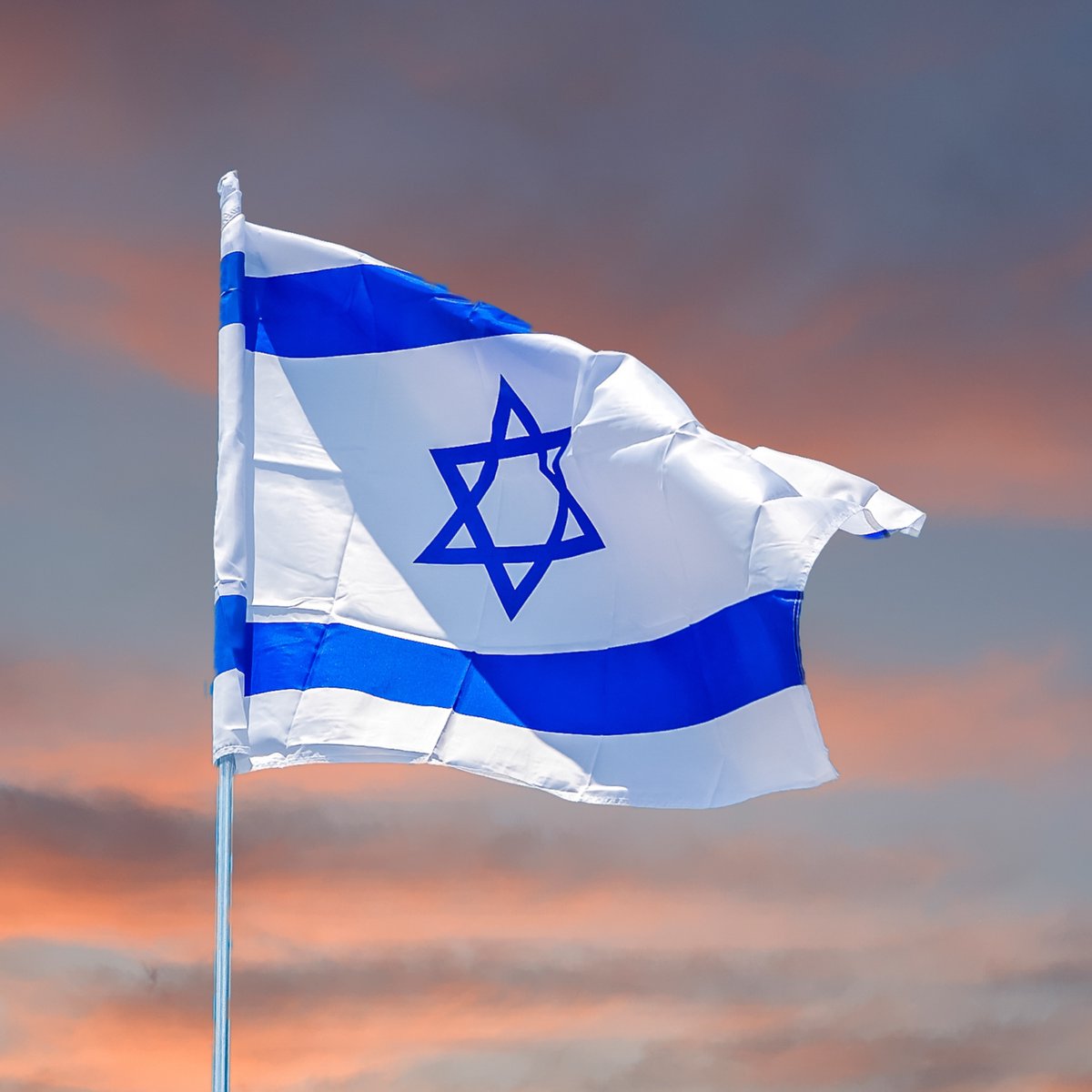 Legitimate Targets tweet media