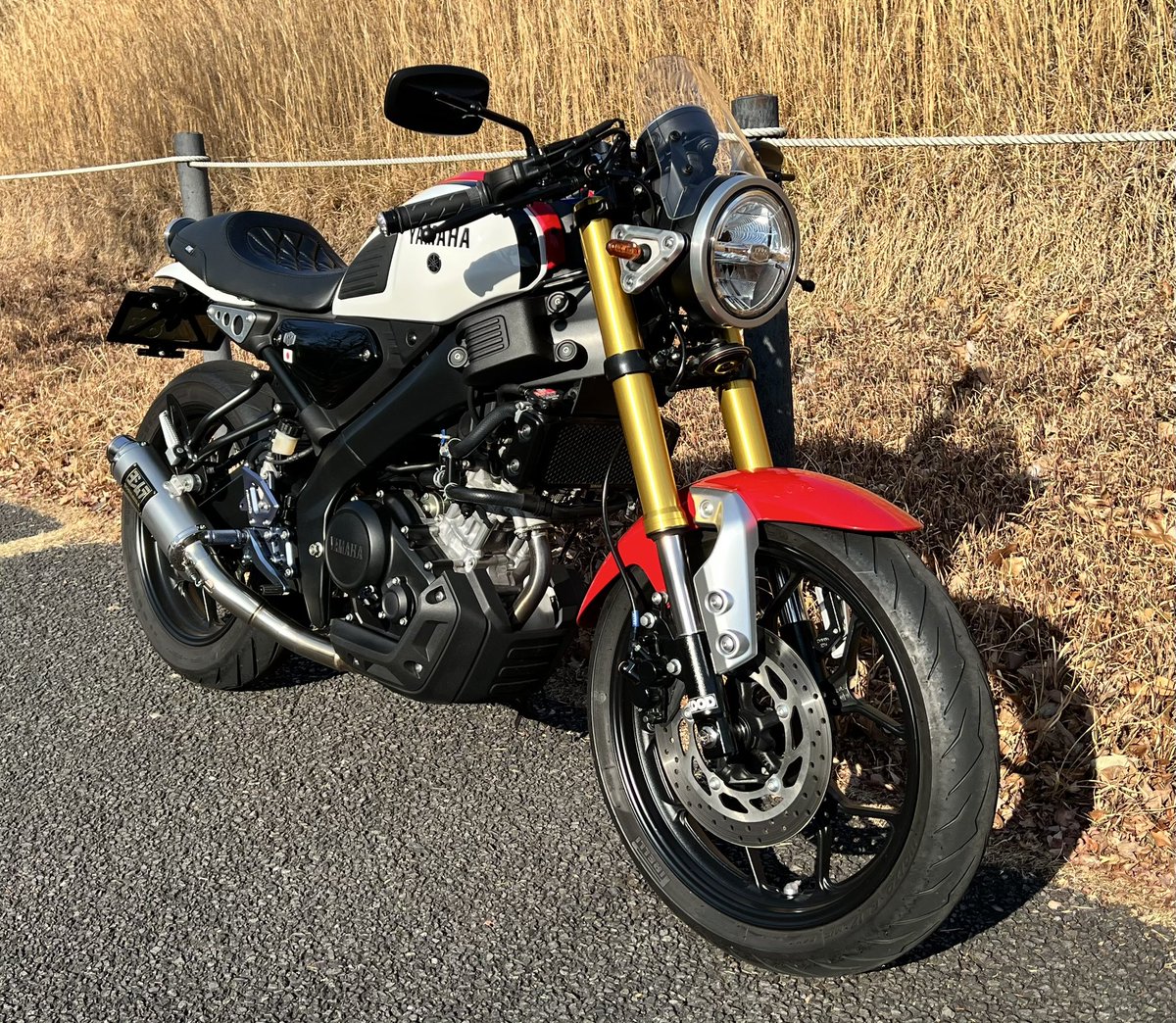 プロフィール画像変えました。

低浮上ですがよろしくです。

#xsr155