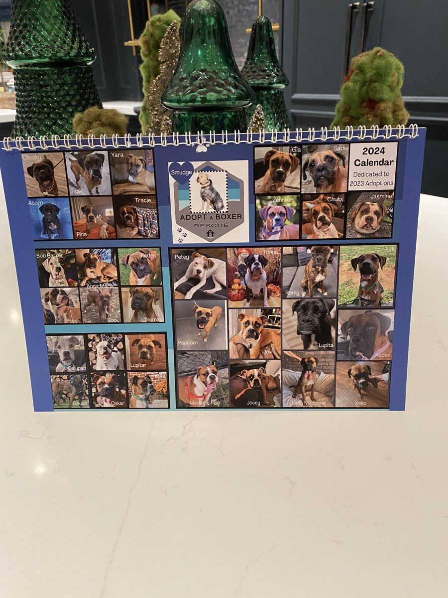 adopt_boxer's tweet image. Only a handful left. Every dog we saved is in here. The Turkey dogs, the mill dogs, the southern dogs. All in one. adoptaboxerrescue.com in our shop and on sale until they are gone. $20 includes shipping ❤️#2025 Calendar #calendars #dogs #boxerdogs #2025 #boxerlover