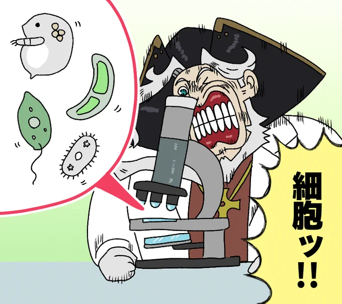 レジライ(理科)
#FGO 