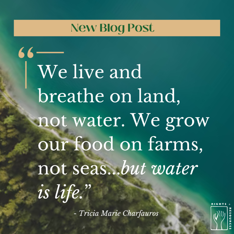 RightsResources's tweet photo. In the fight for #climatejustice, learn how connections between the #environment and human communities can create positive and lasting change, especially for Pacific Island Indigenous Peoples:  
https://t.co/Q97XZ3JAPO