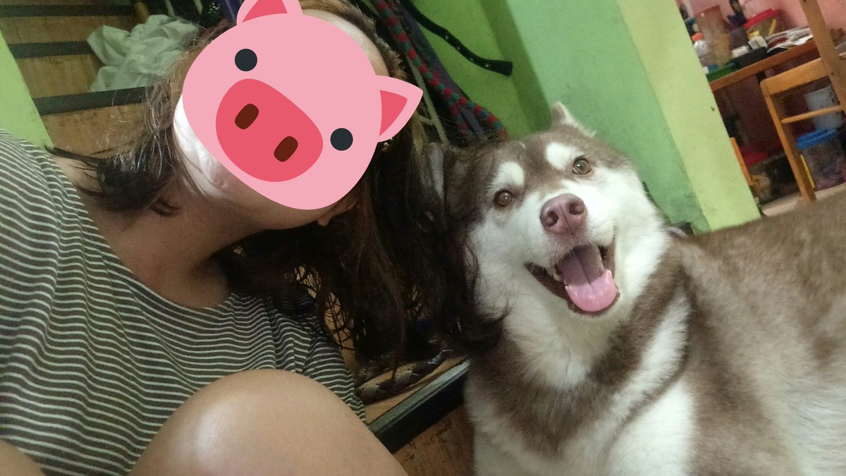 softysb's tweet image. MY SHAYLA
you lewk so stupid i miss u queenie