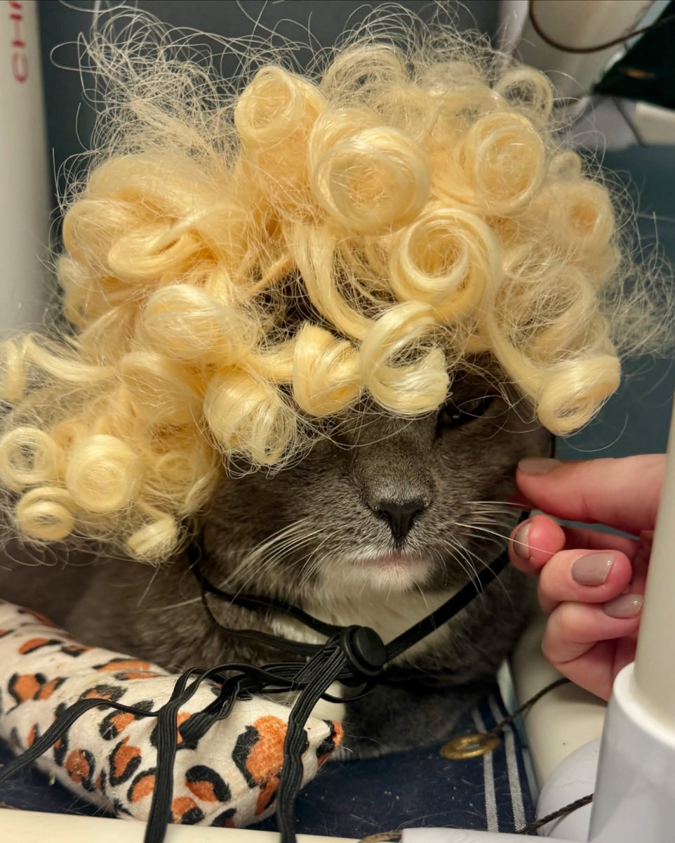 Arin Greenwood tweet media