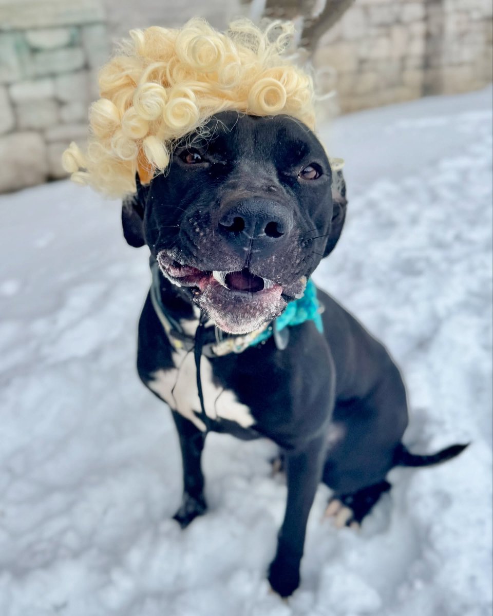 Arin Greenwood tweet media