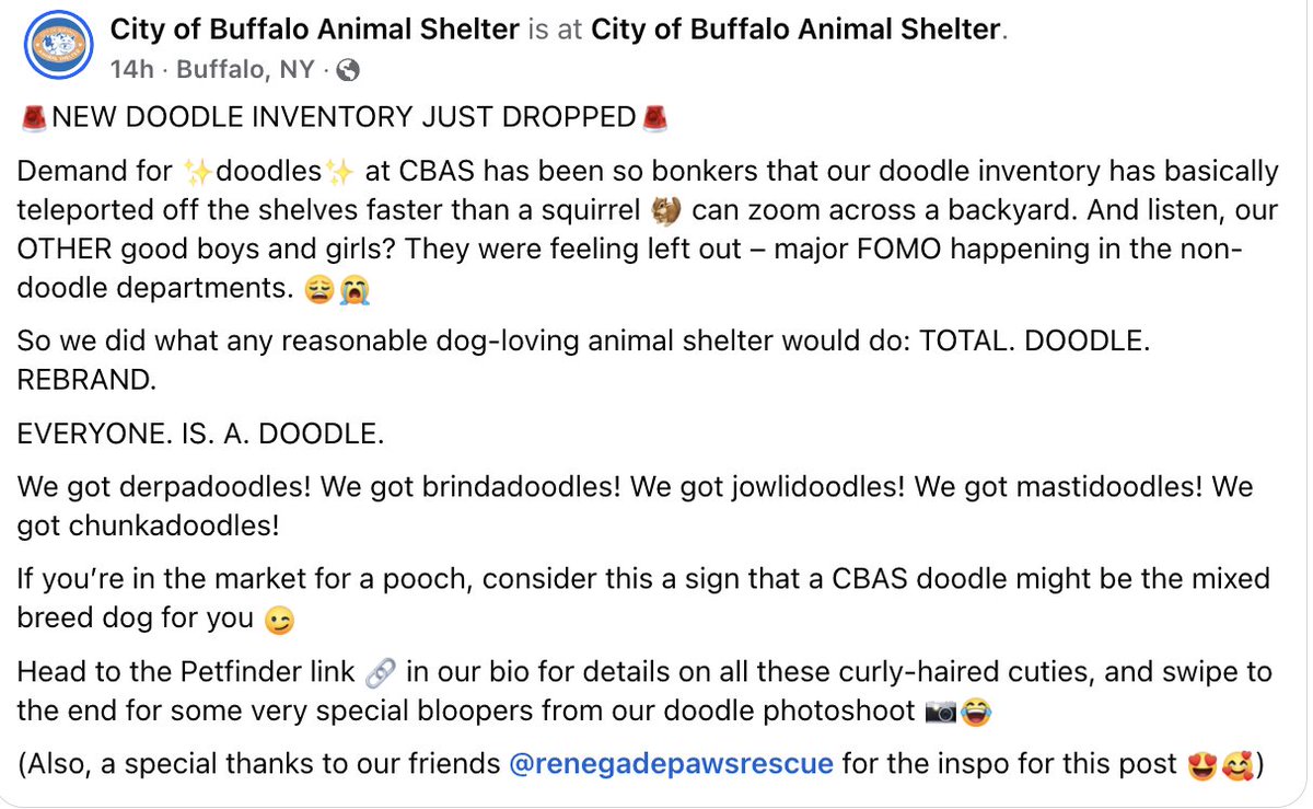 Arin Greenwood tweet media