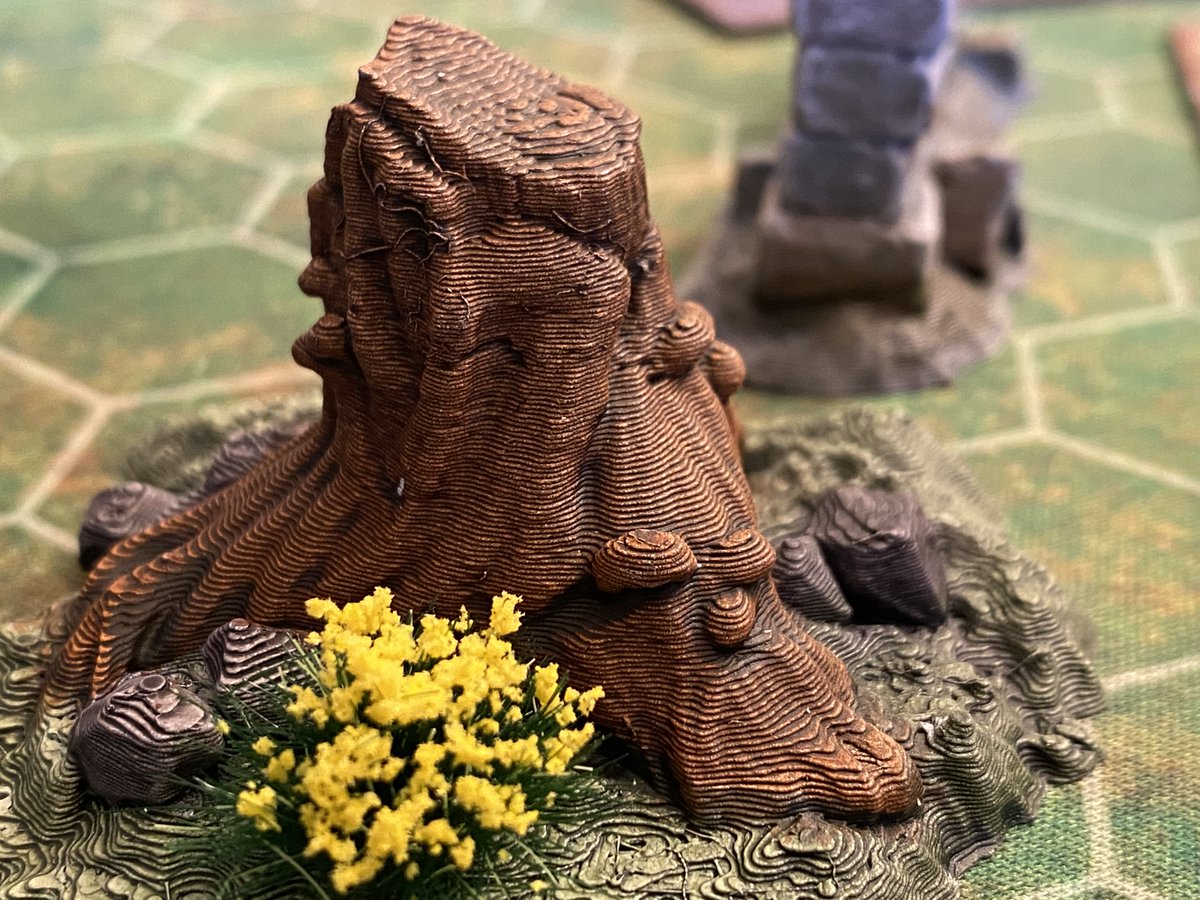colquitt0621's tweet photo. Even the stumps of life can't prevent beauty from blooming. Find joy in unexpected places! 🌼 #FindingBeauty https://t.co/nXCOgOEJMv