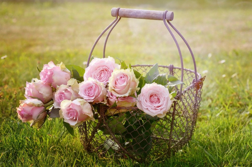 flowersjoyy's tweet photo. 🌸 A basket full of beauty and charm! Fresh pink roses to brighten anyone’s day. 🌷💖 #FlowerPower #BloomBright #NatureInFullBloom https://t.co/BqapOlzNk4