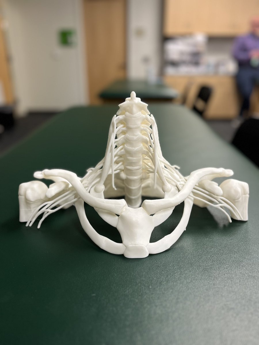 Emma Zuk tweet media