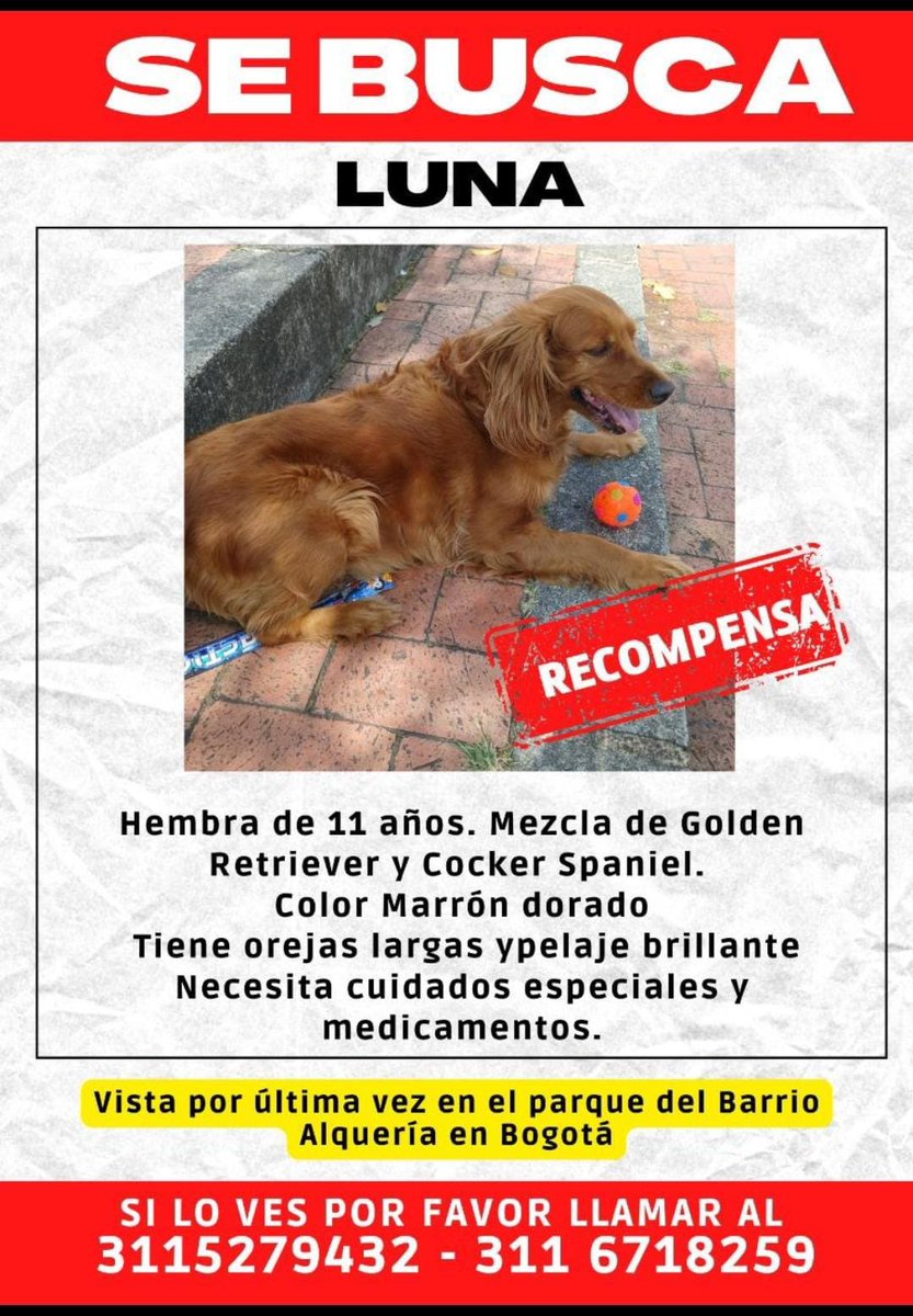 Camilo Jaramillo (@camilojaramill) on Twitter photo Se busca a Luna 🐶, en Bogotá, por favor compartamos 🙏
<a href="/MONYRODRIGUEZOF/">MÓNICA RODRÍGUEZ 🐤</a> <a href="/PlataformaALTO/">Plataforma ALTO</a> <a href="/Marce_Tabares/">Marce Tabares 🐶</a> <a href="/piedrahitangela/">Ángela Piedrahita 🐤</a> <a href="/DanielSamperO/">Daniel Samper Ospina</a> <a href="/HELIODOPTERO/">Gonzalo Guillén</a> <a href="/missfbe/">Daniela S.</a> @coraimatorresd <a href="/patrulleroefra/">Efrain Arce</a> <a href="/laurarubiogu/">Laura C</a> Se busca a Luna 🐶, en Bogotá, por favor compartamos 🙏
<a href="/MONYRODRIGUEZOF/">MÓNICA RODRÍGUEZ 🐤</a> <a href="/PlataformaALTO/">Plataforma ALTO</a> <a href="/Marce_Tabares/">Marce Tabares 🐶</a> <a href="/piedrahitangela/">Ángela Piedrahita 🐤</a> <a href="/DanielSamperO/">Daniel Samper Ospina</a> <a href="/HELIODOPTERO/">Gonzalo Guillén</a> <a href="/missfbe/">Daniela S.</a> @coraimatorresd <a href="/patrulleroefra/">Efrain Arce</a> <a href="/laurarubiogu/">Laura C</a>