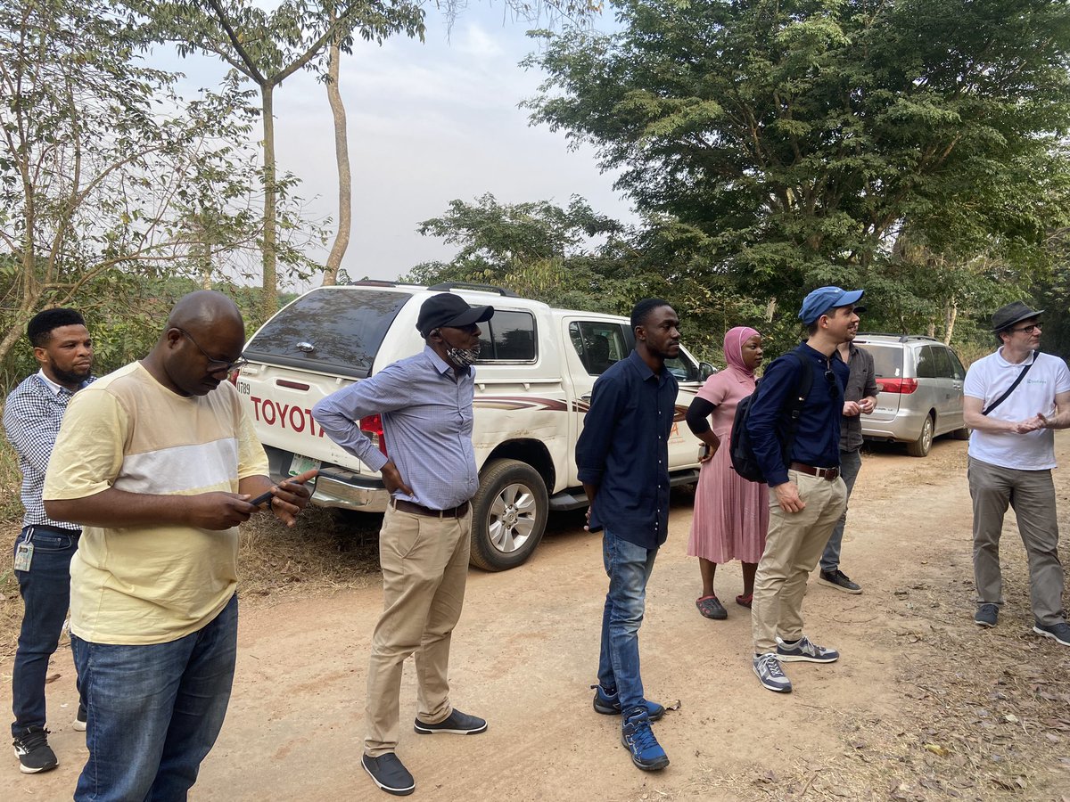 IITA Forest Center tweet media