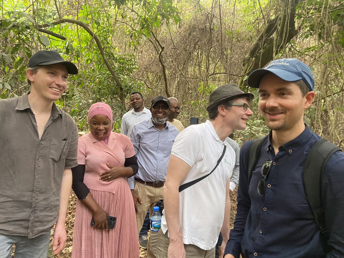 IITA Forest Center tweet media